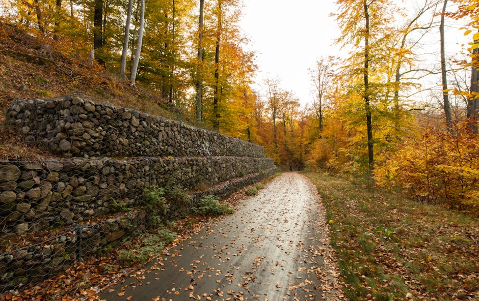 Stone retaining wall built into a sloped Pacific Northwest hillside